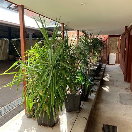 Crown Cbd Motel - City Location Bendigo Exteriör bild