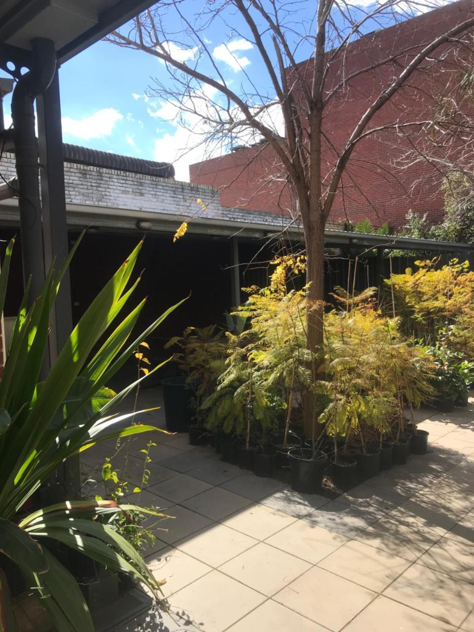 Crown Cbd Motel - City Location Bendigo Exteriör bild
